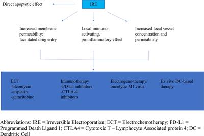 The Synergistic Role of Irreversible Electroporation and Chemotherapy for Locally Advanced Pancreatic Cancer